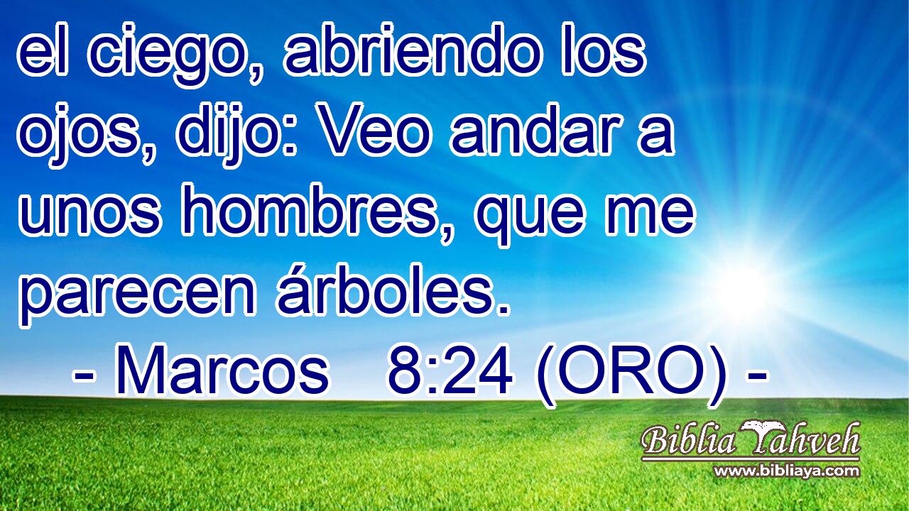  el ciego, abriendo los ojos, dijo: Veo andar a unos hombres, que me parecen árboles. 