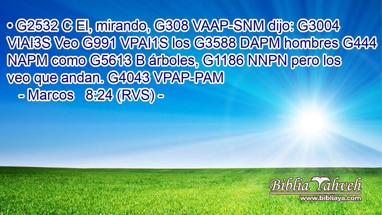 • G2532 C El, mirando, G308 VAAP-SNM dijo: G3004 VIAI3S Veo G991 VPAI1S los G3588 DAPM hombres G444 NAPM como G5613 B árboles, G1186 NNPN pero los veo que andan. G4043 VPAP-PAM 
