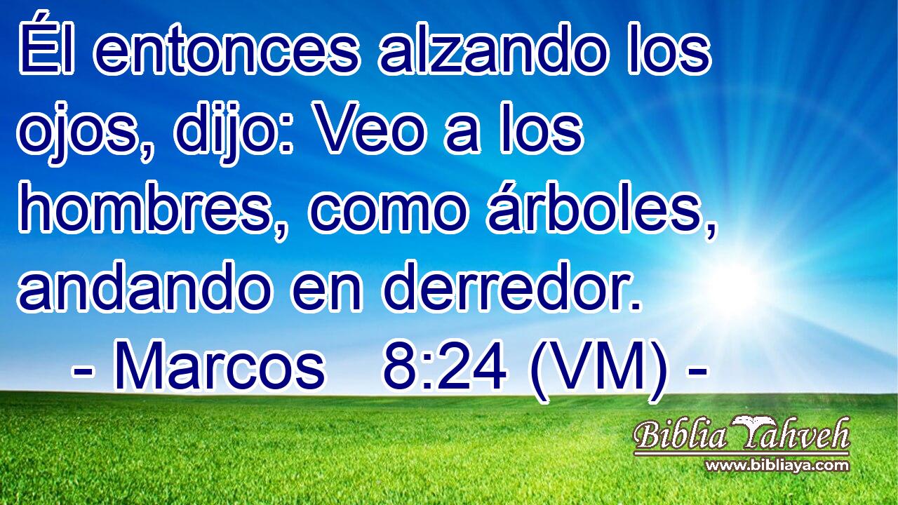  Él entonces alzando los ojos, dijo: Veo a los hombres, como árboles, andando en derredor. 