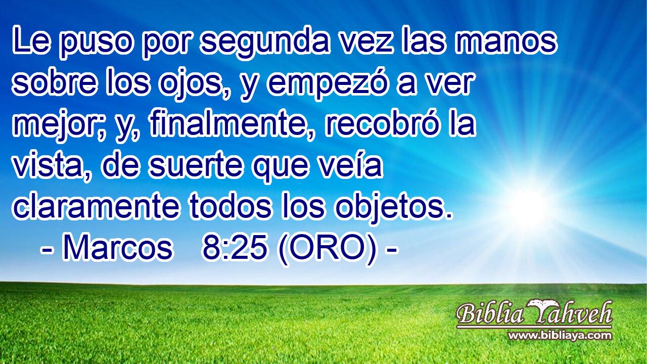  Le puso por segunda vez las manos sobre los ojos, y empezó a ver mejor; y, finalmente, recobró la vista, de suerte que veía claramente todos los objetos. 