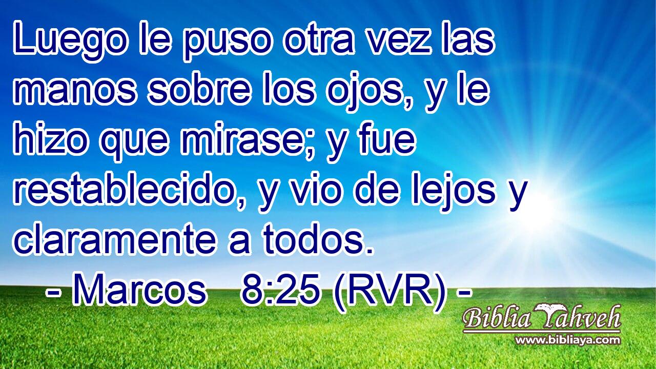 Luego le puso otra vez las manos sobre los ojos, y le hizo que mirase; y fue restablecido, y vio de lejos y claramente a todos.