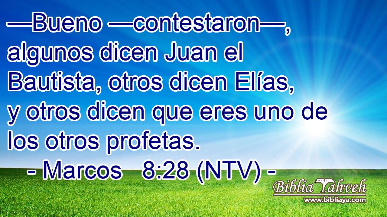 —Bueno —contestaron—, algunos dicen Juan el Bautista, otros dicen Elías, y otros dicen que eres uno de los otros profetas.