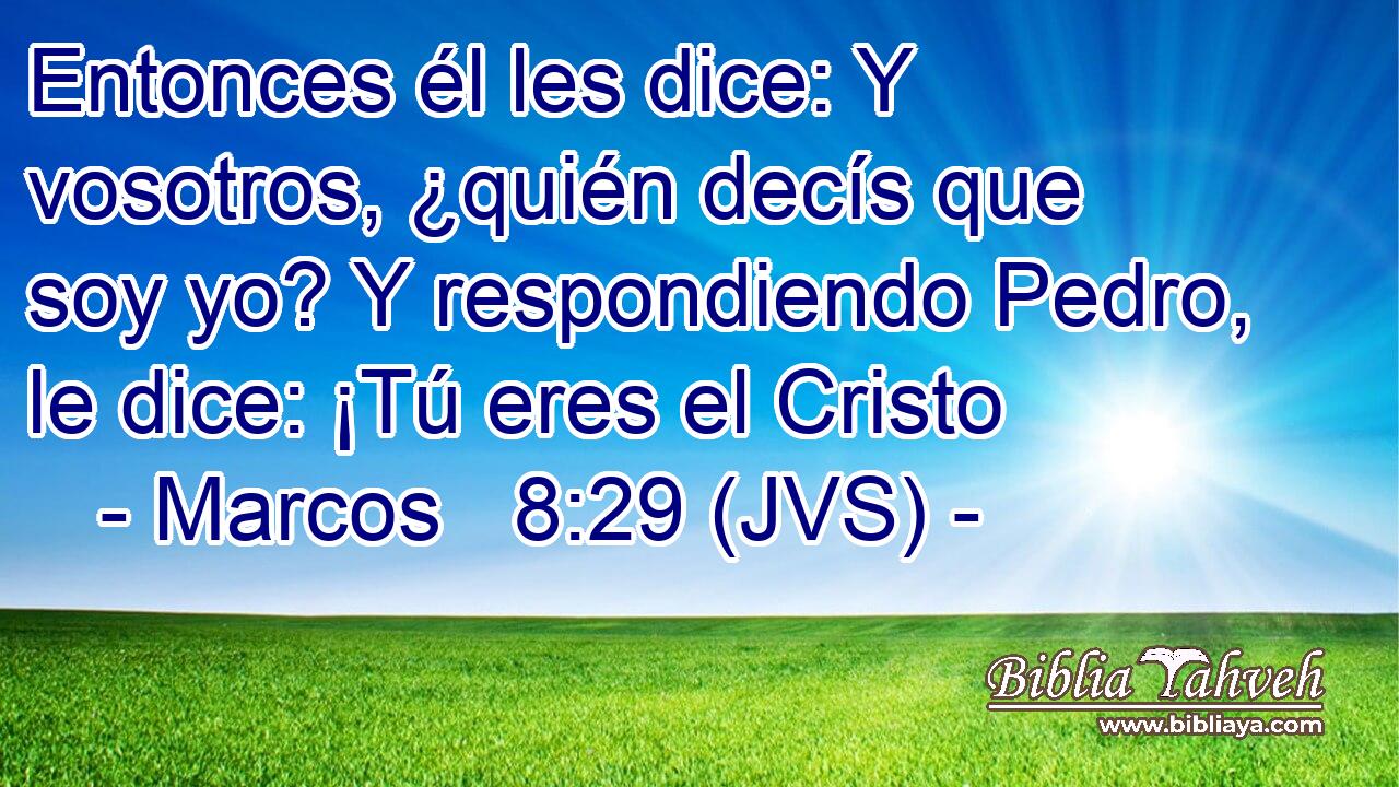 Entonces él les dice: Y vosotros, ¿quién decís que soy yo? Y respondiendo Pedro, le dice: ¡Tú eres el Cristo