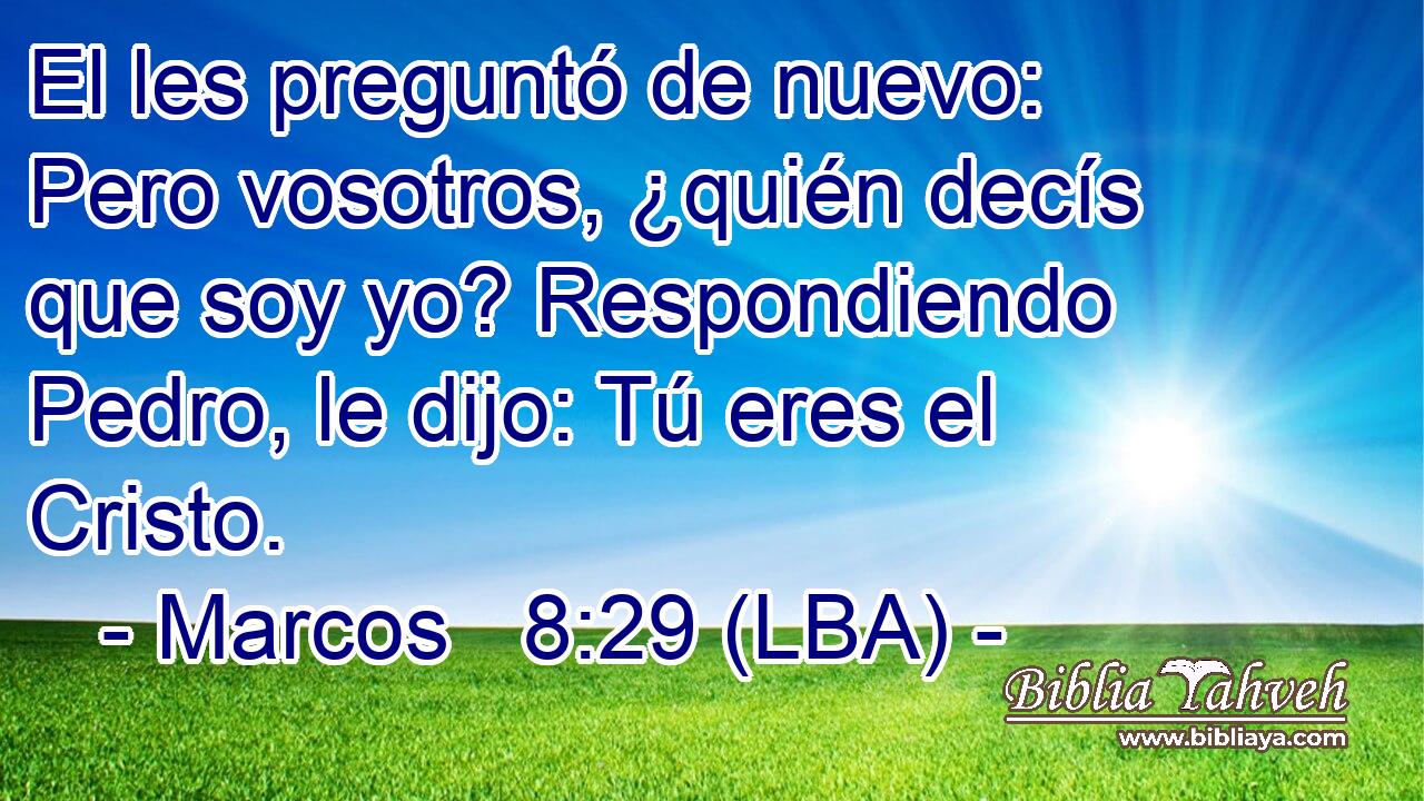 El les preguntó de nuevo: Pero vosotros, ¿quién decís que soy yo? Respondiendo Pedro, le dijo: Tú eres el Cristo.