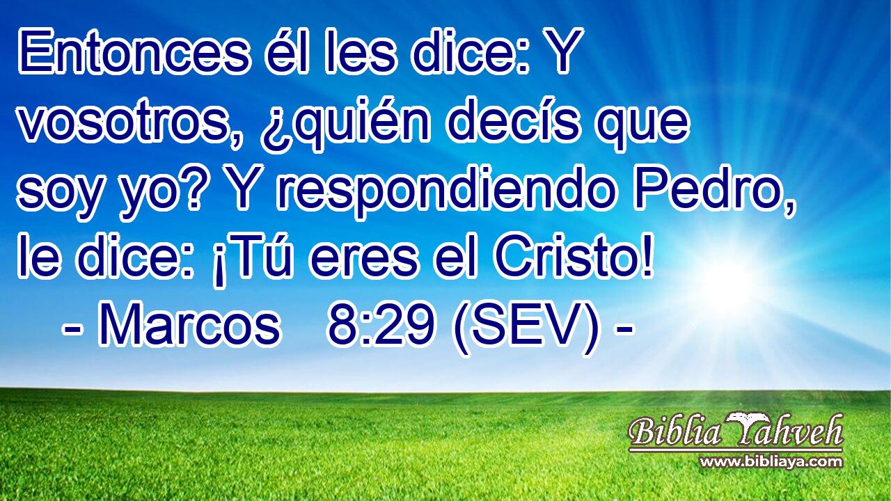 Entonces él les dice: Y vosotros, ¿quién decís que soy yo? Y respondiendo Pedro, le dice: ¡Tú eres el Cristo!
