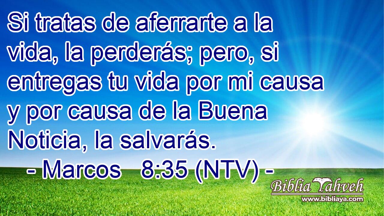Si tratas de aferrarte a la vida, la perderás; pero, si entregas tu vida por mi causa y por causa de la Buena Noticia, la salvarás.