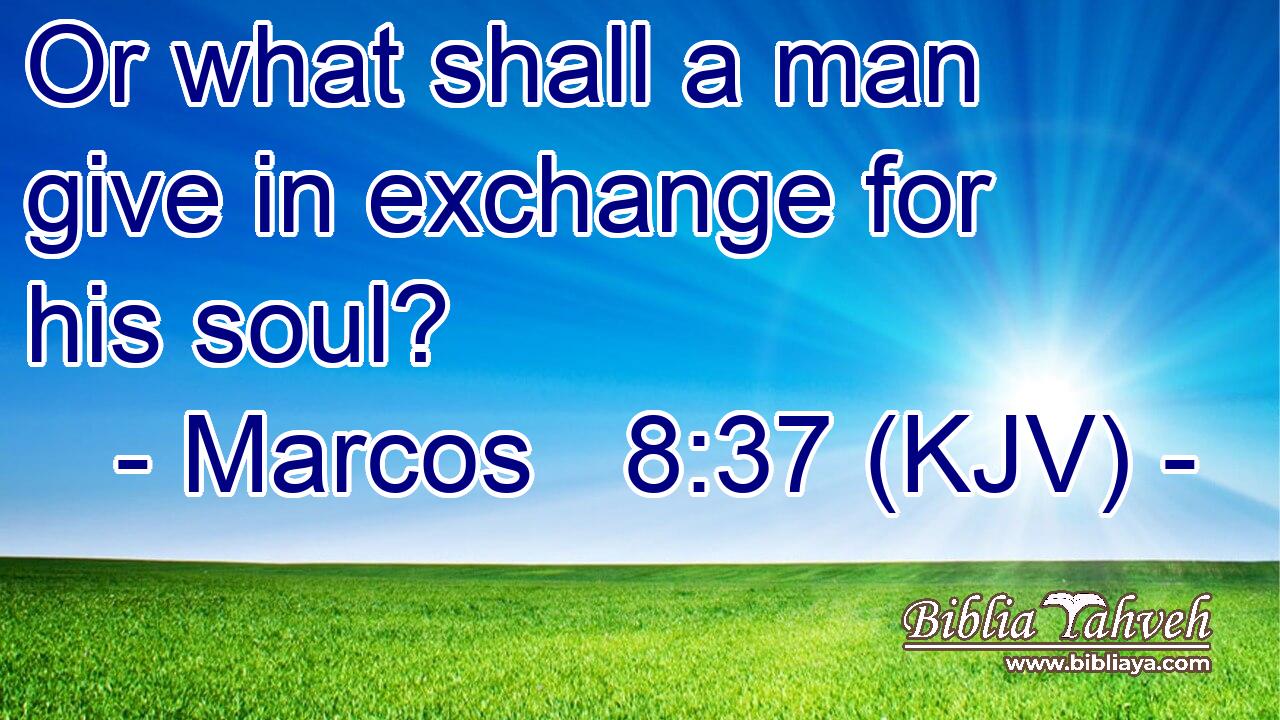 Or what shall a man give in exchange for his soul?