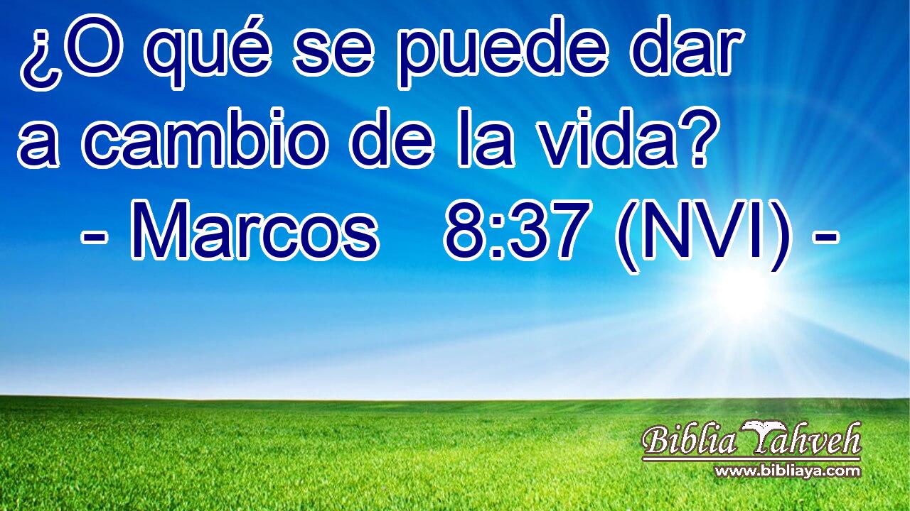  ¿O qué se puede dar a cambio de la vida? 