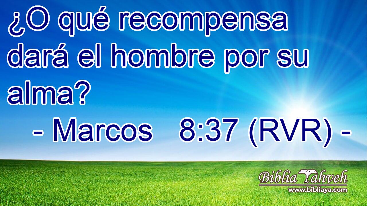 ¿O qué recompensa dará el hombre por su alma?