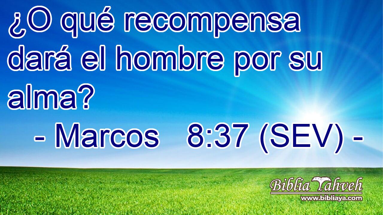 ¿O qué recompensa dará el hombre por su alma?