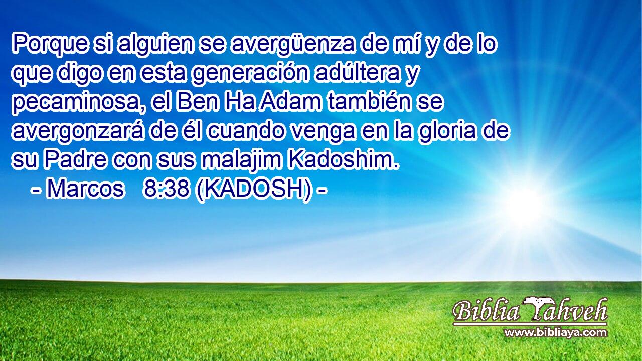  Porque si alguien se avergüenza de mí y de lo que digo en esta generación adúltera y pecaminosa, el Ben Ha Adam también se avergonzará de él cuando venga en la gloria de su Padre con sus malajim Kadoshim. 