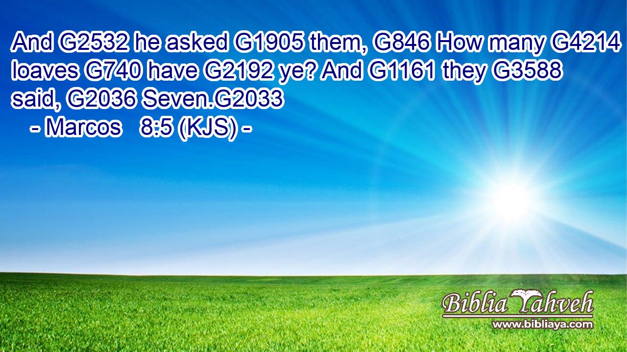And G2532 he asked G1905 them, G846 How many G4214 loaves G740 have G2192 ye? And G1161 they G3588 said, G2036 Seven.G2033