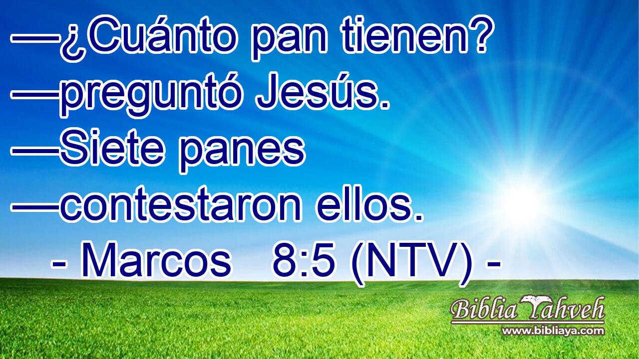 —¿Cuánto pan tienen? —preguntó Jesús. —Siete panes —contestaron ellos.