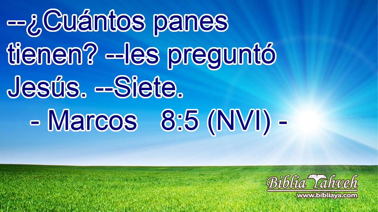  --¿Cuántos panes tienen? --les preguntó Jesús. --Siete. 