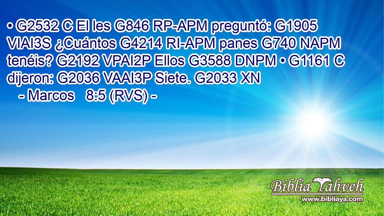 • G2532 C El les G846 RP-APM preguntó: G1905 VIAI3S ¿Cuántos G4214 RI-APM panes G740 NAPM tenéis? G2192 VPAI2P Ellos G3588 DNPM • G1161 C dijeron: G2036 VAAI3P Siete. G2033 XN 