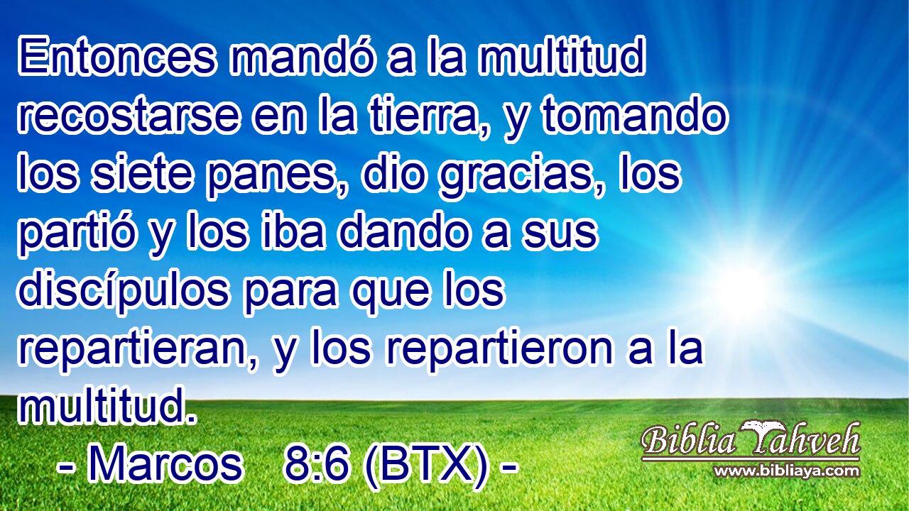 Entonces mandó a la multitud recostarse en la tierra, y tomando los siete panes, dio gracias, los partió y los iba dando a sus discípulos para que los repartieran, y los repartieron a la multitud.