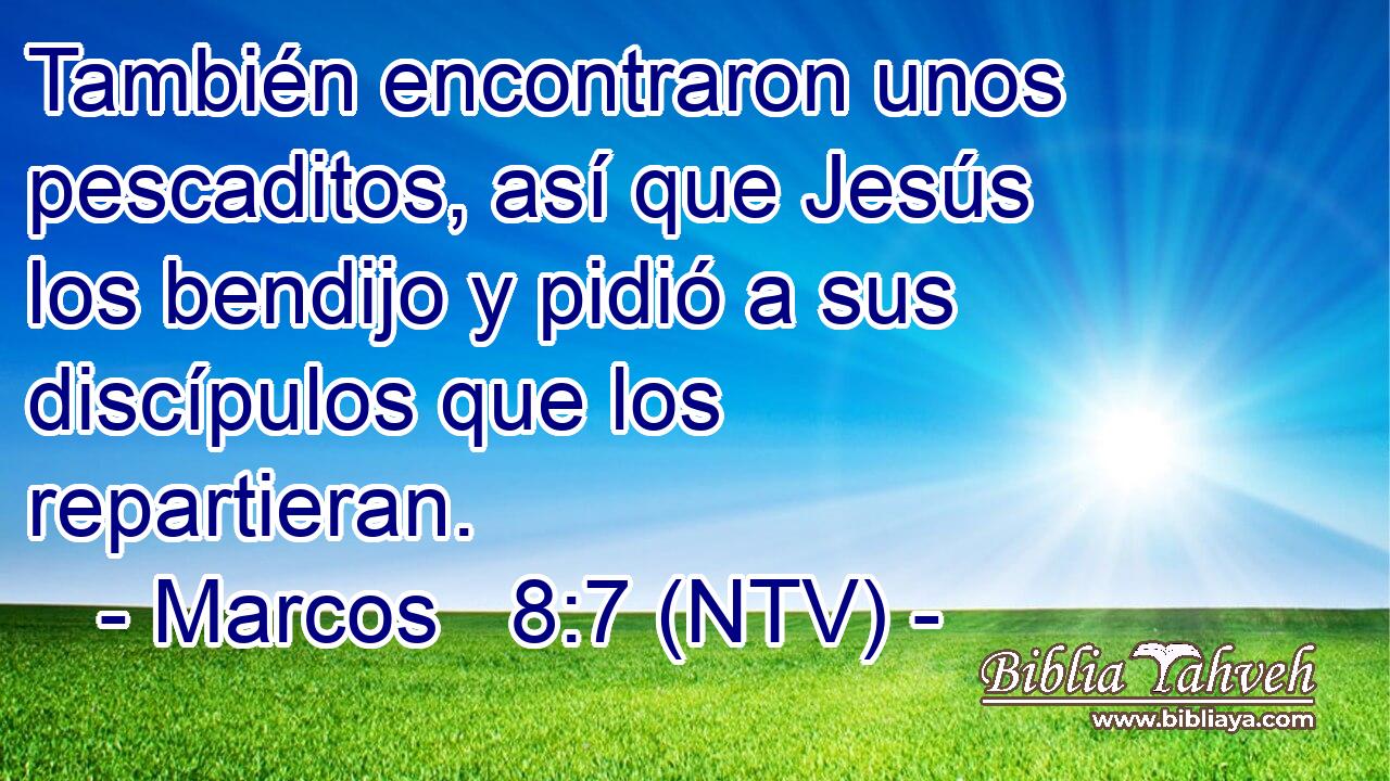 También encontraron unos pescaditos, así que Jesús los bendijo y pidió a sus discípulos que los repartieran.