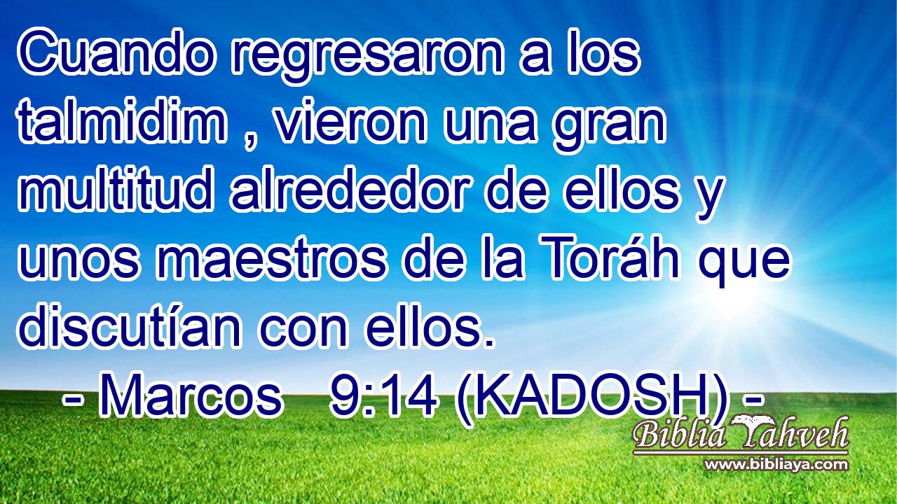  Cuando regresaron a los talmidim , vieron una gran multitud alrededor de ellos y unos maestros de la Toráh que discutían con ellos. 