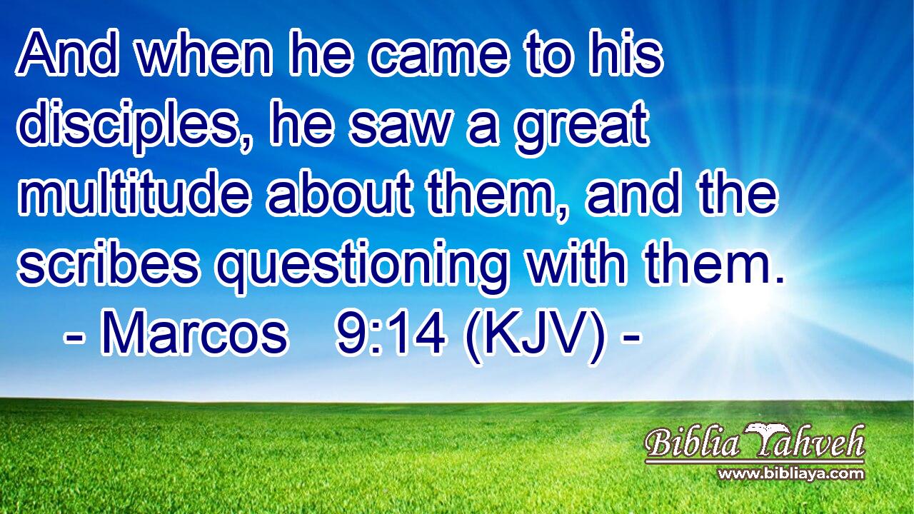 And when he came to his disciples, he saw a great multitude about them, and the scribes questioning with them.