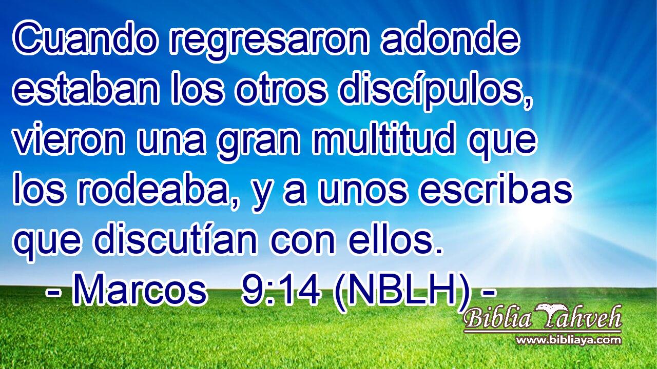  Cuando regresaron adonde estaban los otros discípulos, vieron una gran multitud que los rodeaba, y a unos escribas que discutían con ellos. 