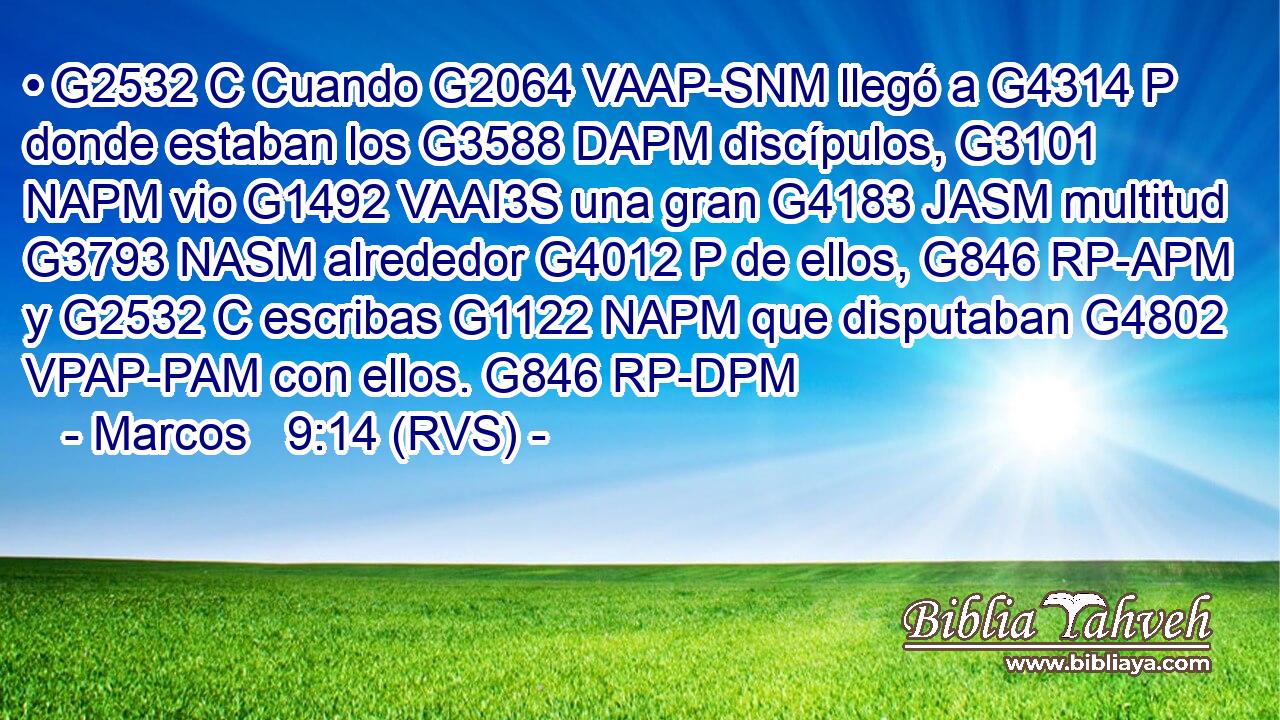 • G2532 C Cuando G2064 VAAP-SNM llegó a G4314 P donde estaban los G3588 DAPM discípulos, G3101 NAPM vio G1492 VAAI3S una gran G4183 JASM multitud G3793 NASM alrededor G4012 P de ellos, G846 RP-APM y G2532 C escribas G1122 NAPM que disputaban G4802 VPAP-PAM con ellos. G846 RP-DPM 