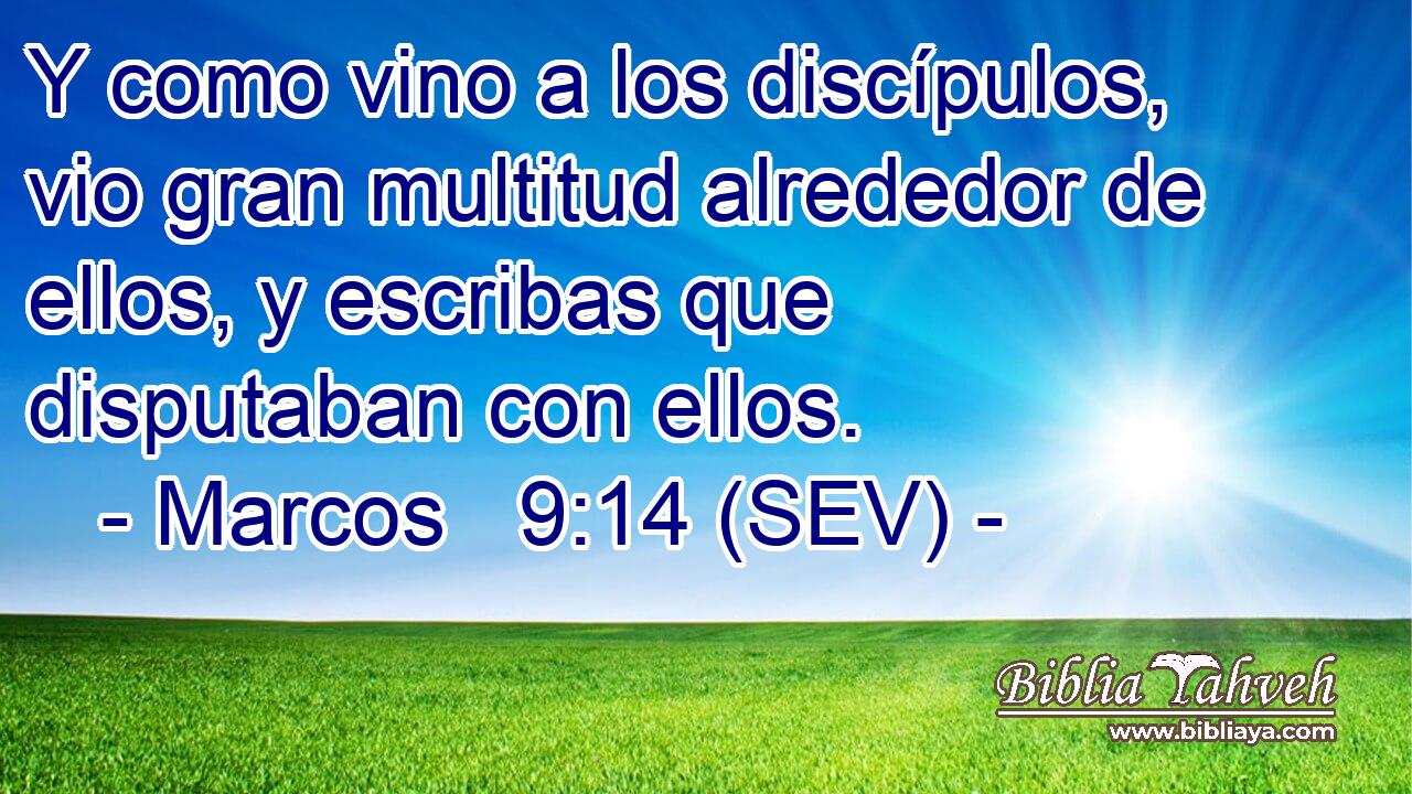 Y como vino a los discípulos, vio gran multitud alrededor de ellos, y escribas que disputaban con ellos.