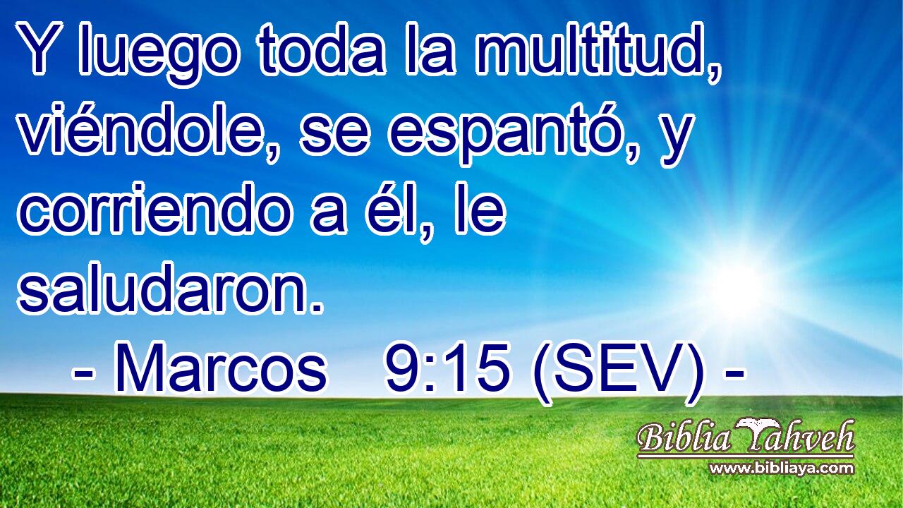 Y luego toda la multitud, viéndole, se espantó, y corriendo a él, le saludaron.