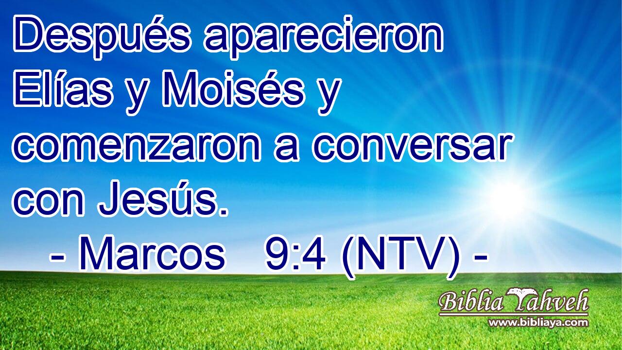 Después aparecieron Elías y Moisés y comenzaron a conversar con Jesús.