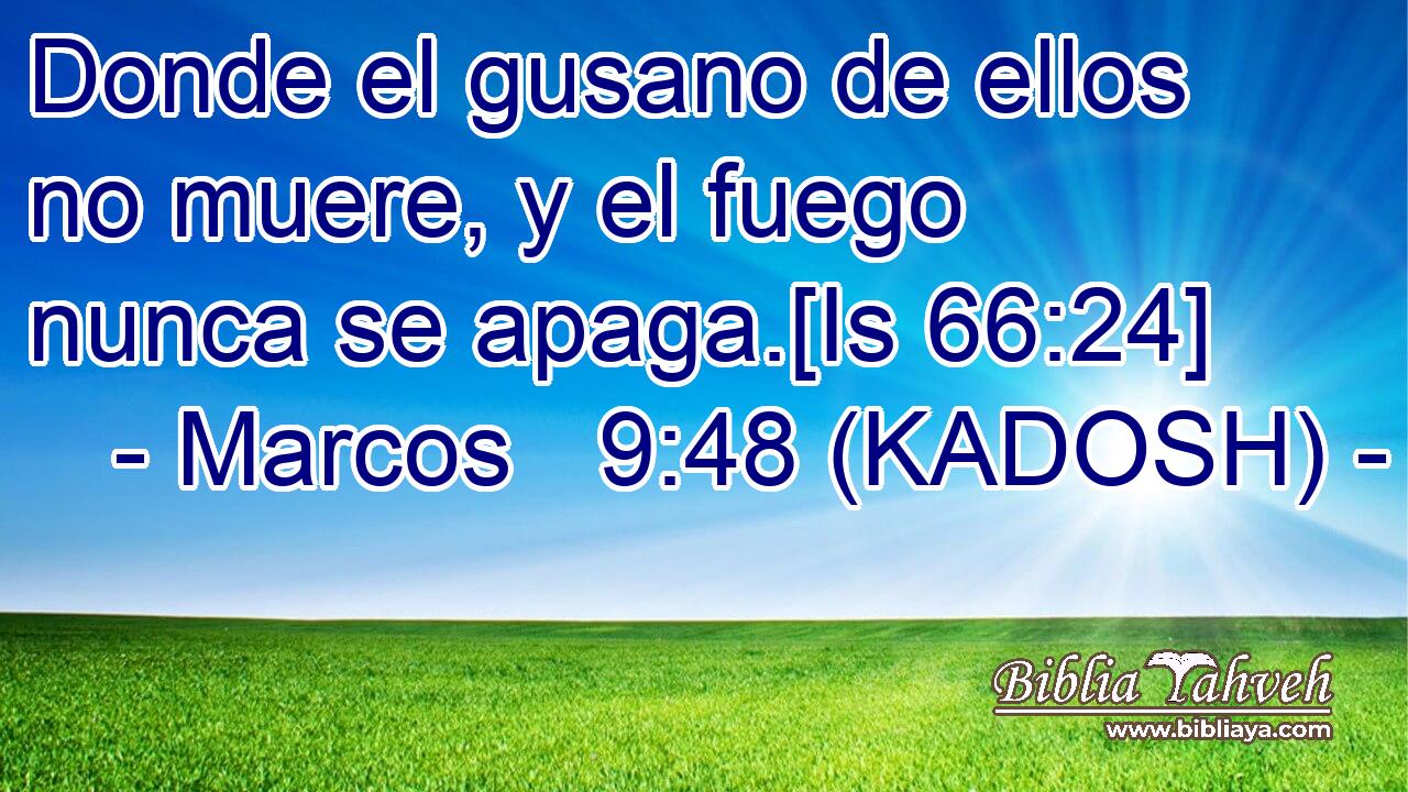  Donde el gusano de ellos no muere, y el fuego nunca se apaga.[Is 66:24] 