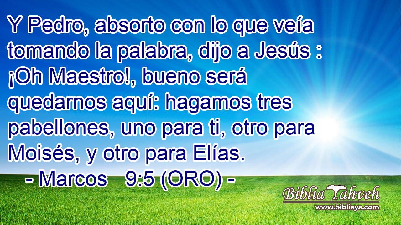  Y Pedro, absorto con lo que veía tomando la palabra, dijo a Jesús : ¡Oh Maestro!, bueno será quedarnos aquí: hagamos tres pabellones, uno para ti, otro para Moisés, y otro para Elías. 