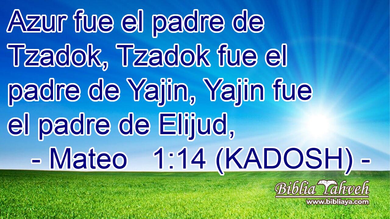  Azur fue el padre de Tzadok, Tzadok fue el padre de Yajin, Yajin fue el padre de Elijud, 
