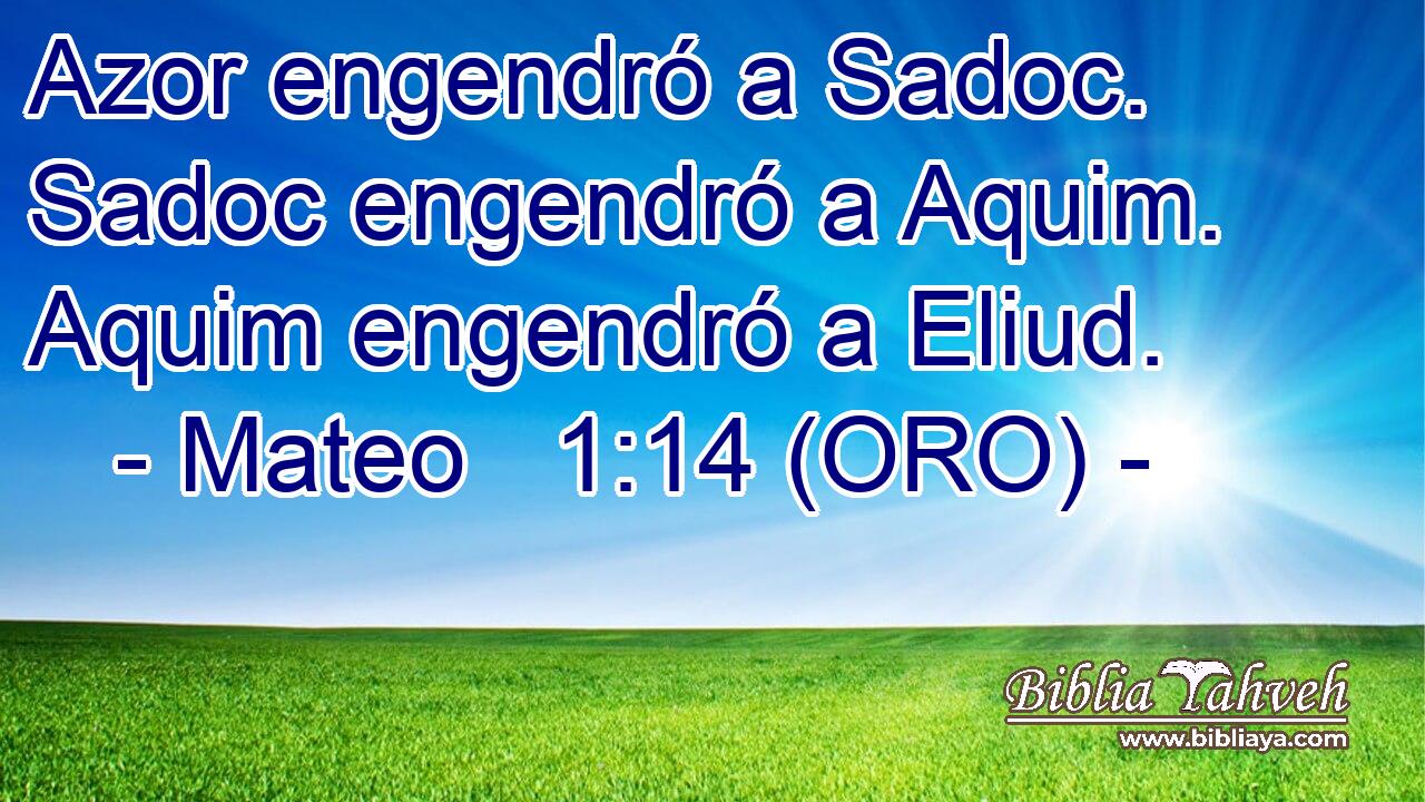  Azor engendró a Sadoc. Sadoc engendró a Aquim. Aquim engendró a Eliud. 