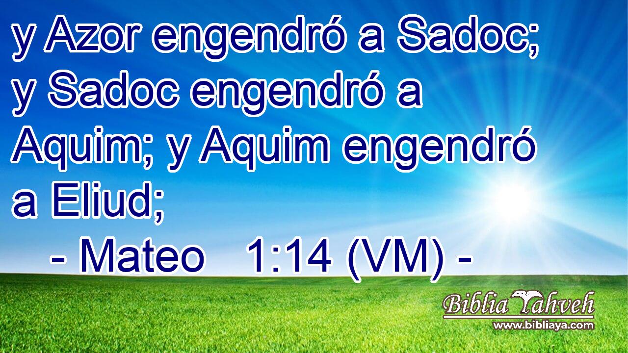 y Azor engendró a Sadoc; y Sadoc engendró a Aquim; y Aquim engendró a Eliud; 