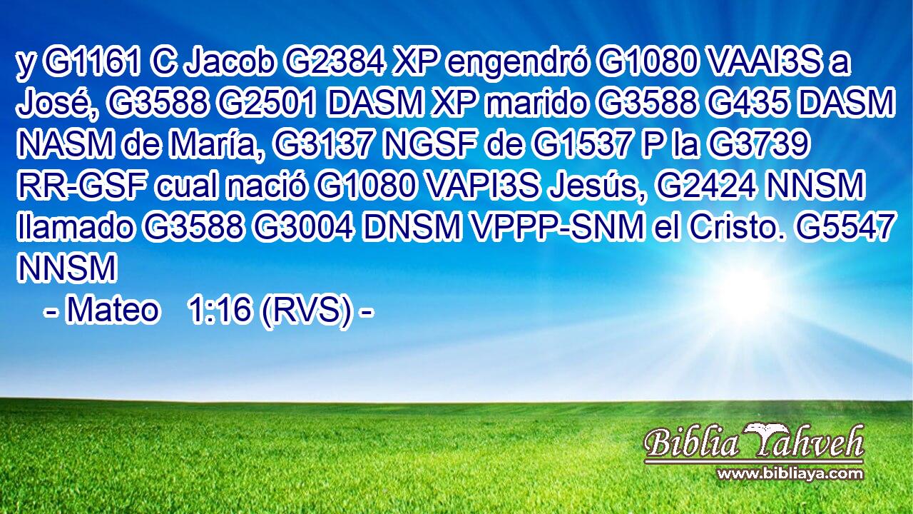 y G1161 C Jacob G2384 XP engendró G1080 VAAI3S a José, G3588 G2501 DASM XP marido G3588 G435 DASM NASM de María, G3137 NGSF de G1537 P la G3739 RR-GSF cual nació G1080 VAPI3S Jesús, G2424 NNSM llamado G3588 G3004 DNSM VPPP-SNM el Cristo. G5547 NNSM 