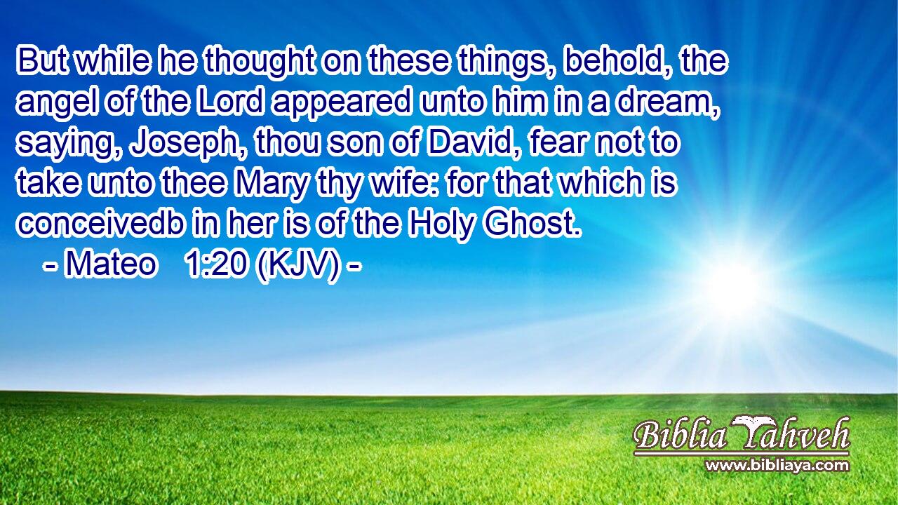 But while he thought on these things, behold, the angel of the Lord appeared unto him in a dream, saying, Joseph, thou son of David, fear not to take unto thee Mary thy wife: for that which is conceivedb in her is of the Holy Ghost.