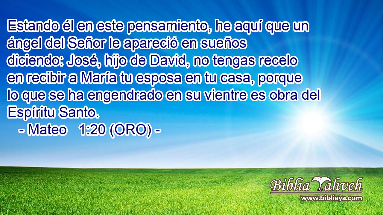  Estando él en este pensamiento, he aquí que un ángel del Señor le apareció en sueños diciendo: José, hijo de David, no tengas recelo en recibir a María tu esposa en tu casa, porque lo que se ha engendrado en su vientre es obra del Espíritu Santo. 