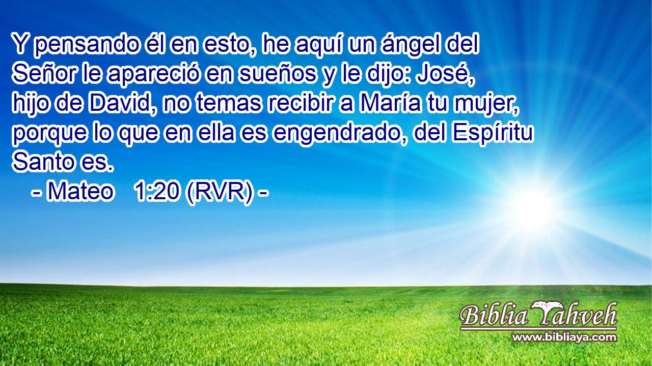 Y pensando él en esto, he aquí un ángel del Señor le apareció en sueños y le dijo: José, hijo de David, no temas recibir a María tu mujer, porque lo que en ella es engendrado, del Espíritu Santo es.