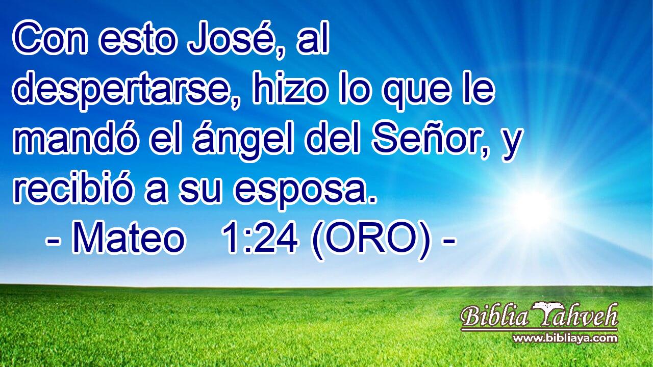  Con esto José, al despertarse, hizo lo que le mandó el ángel del Señor, y recibió a su esposa. 