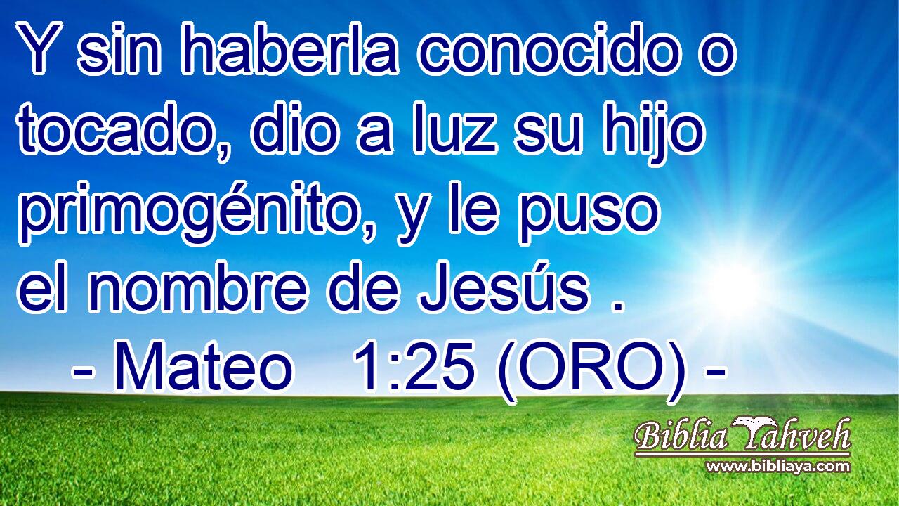  Y sin haberla conocido o tocado, dio a luz su hijo primogénito, y le puso el nombre de Jesús . 