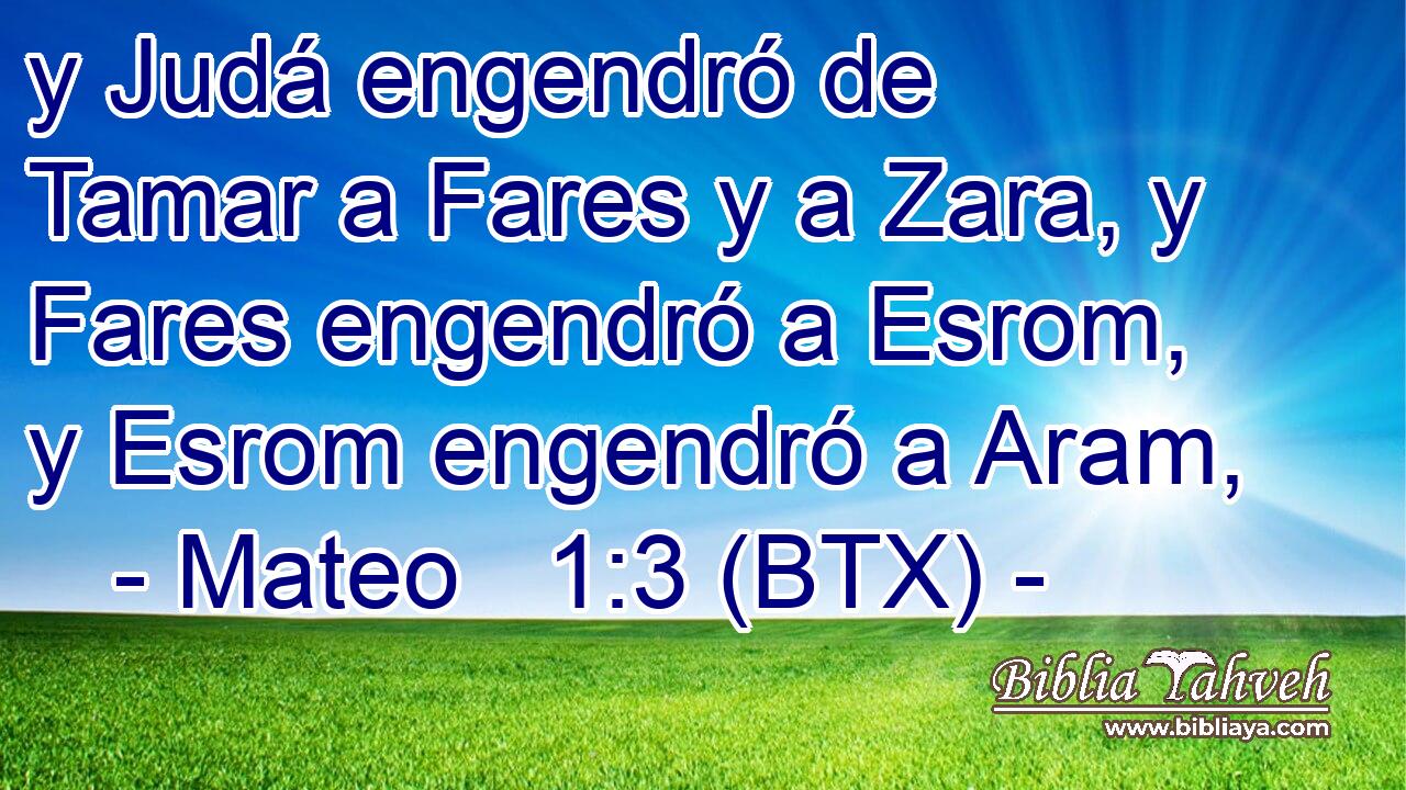 y Judá engendró de Tamar a Fares y a Zara, y Fares engendró a Esrom, y Esrom engendró a Aram,
