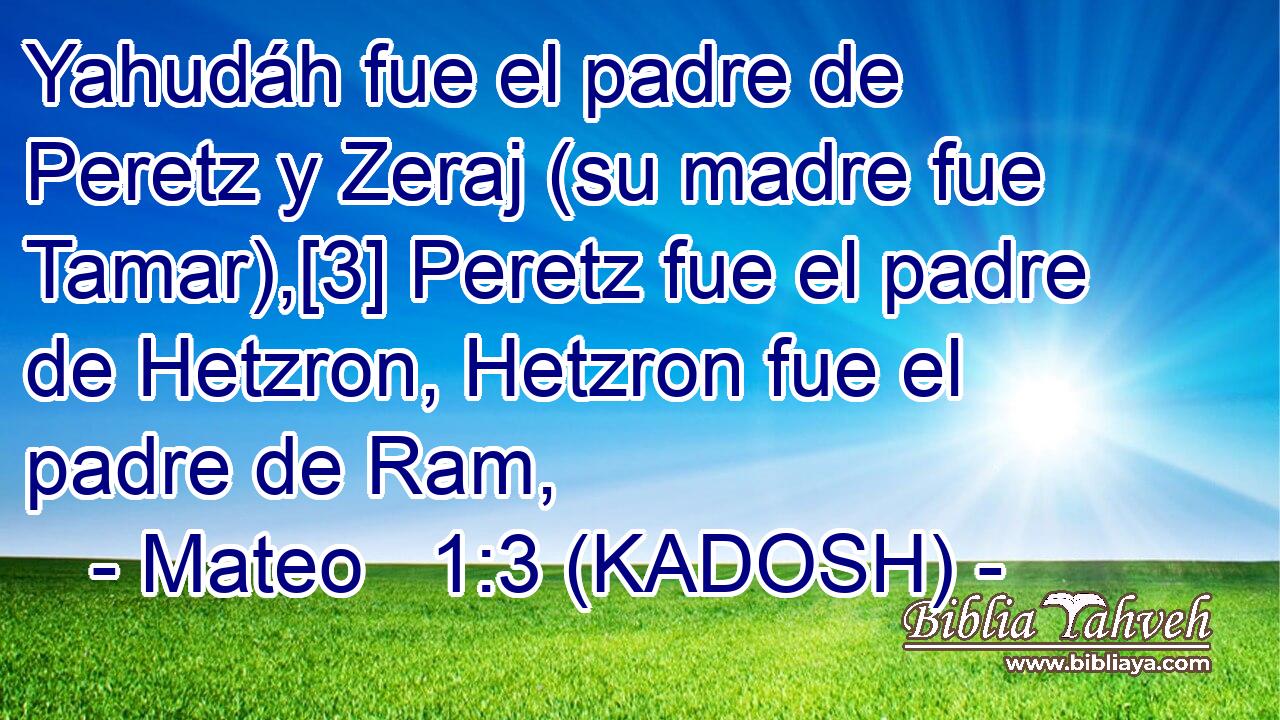  Yahudáh fue el padre de Peretz y Zeraj (su madre fue Tamar),[3] Peretz fue el padre de Hetzron, Hetzron fue el padre de Ram, 