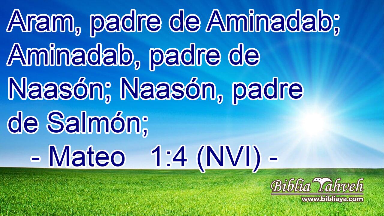  Aram, padre de Aminadab; Aminadab, padre de Naasón; Naasón, padre de Salmón; 