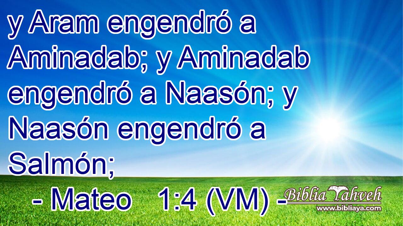  y Aram engendró a Aminadab; y Aminadab engendró a Naasón; y Naasón engendró a Salmón; 