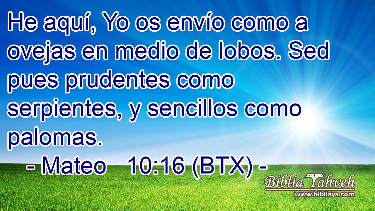 Mateo 10:16 (BTX) - He aquí, Yo os envío como a ovejas en medi...