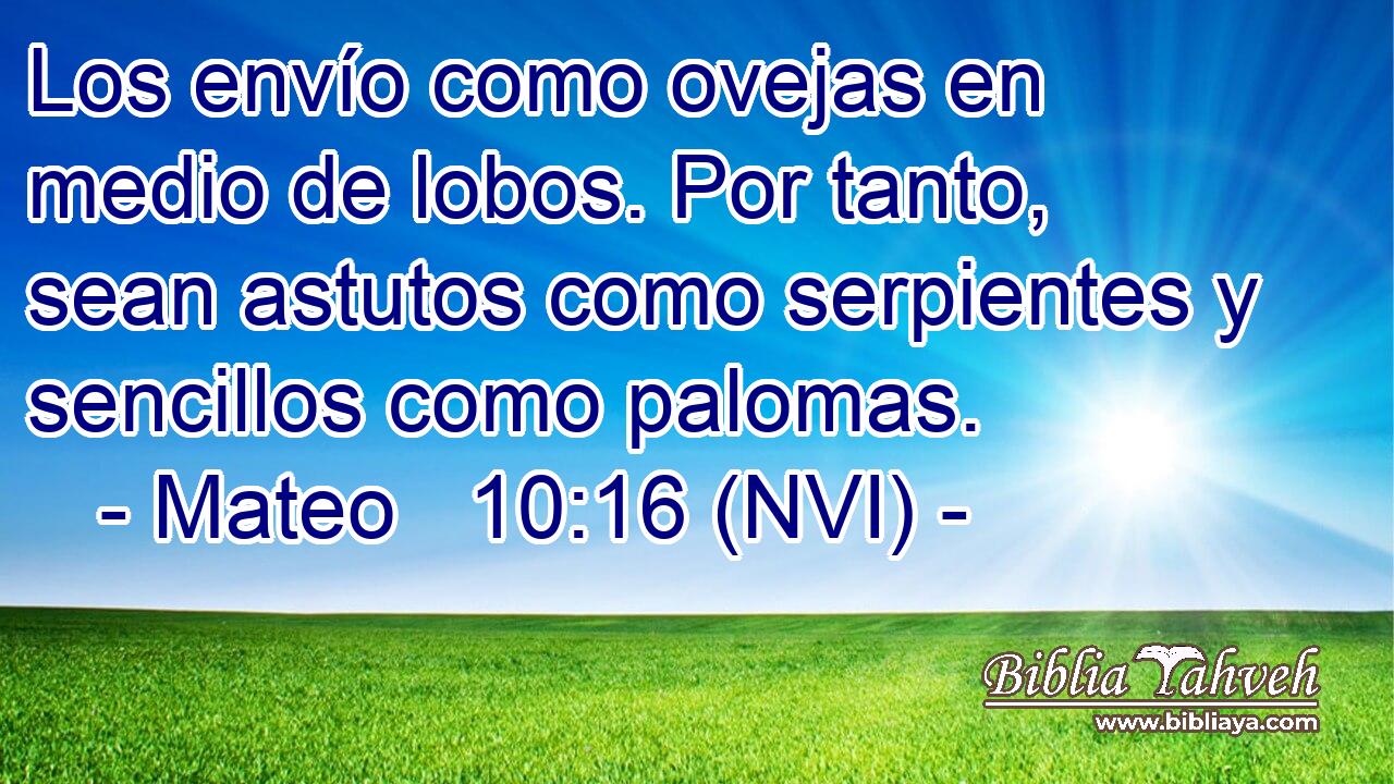 Mateo 10:16 (NVI) - Los envío como ovejas en medio de lobos. P...