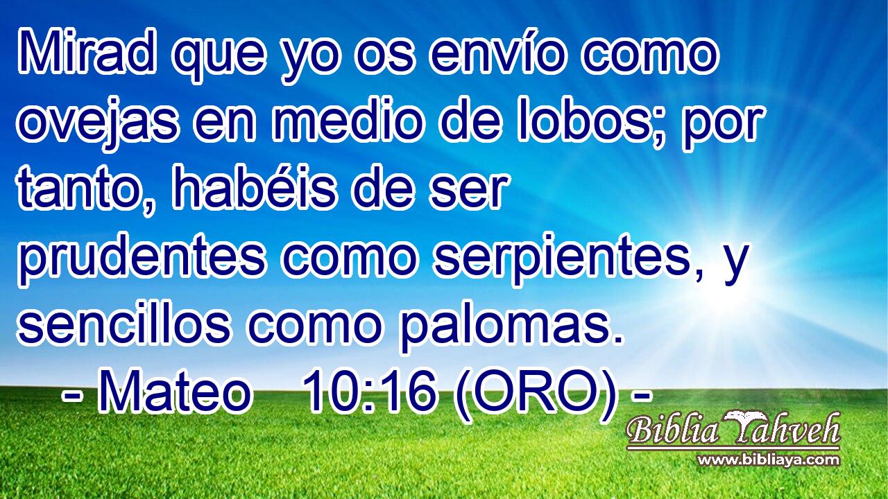  Mirad que yo os envío como ovejas en medio de lobos; por tanto, habéis de ser prudentes como serpientes, y sencillos como palomas. 