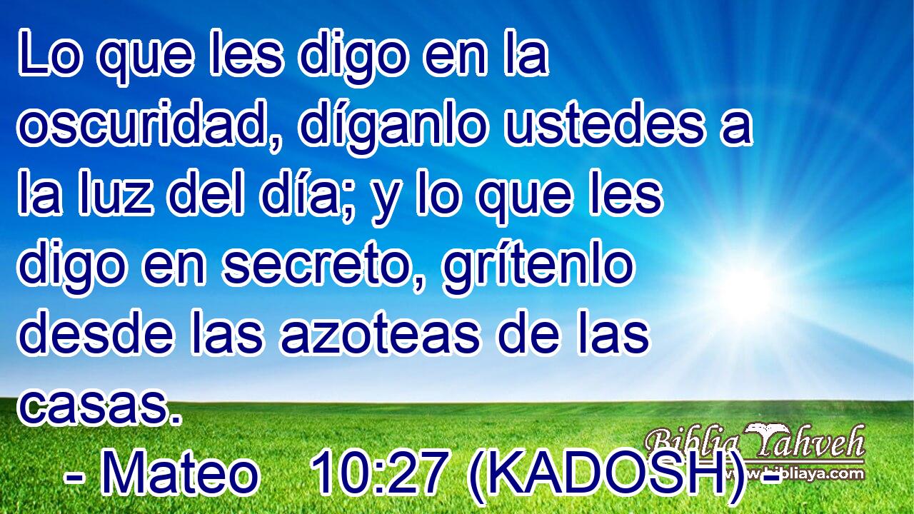  Lo que les digo en la oscuridad, díganlo ustedes a la luz del día; y lo que les digo en secreto, grítenlo desde las azoteas de las casas. 