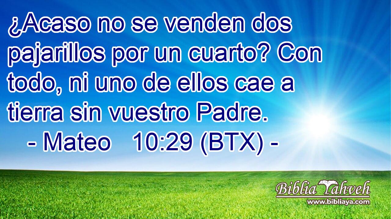 ¿Acaso no se venden dos pajarillos por un cuarto? Con todo, ni uno de ellos cae a tierra sin vuestro Padre.
