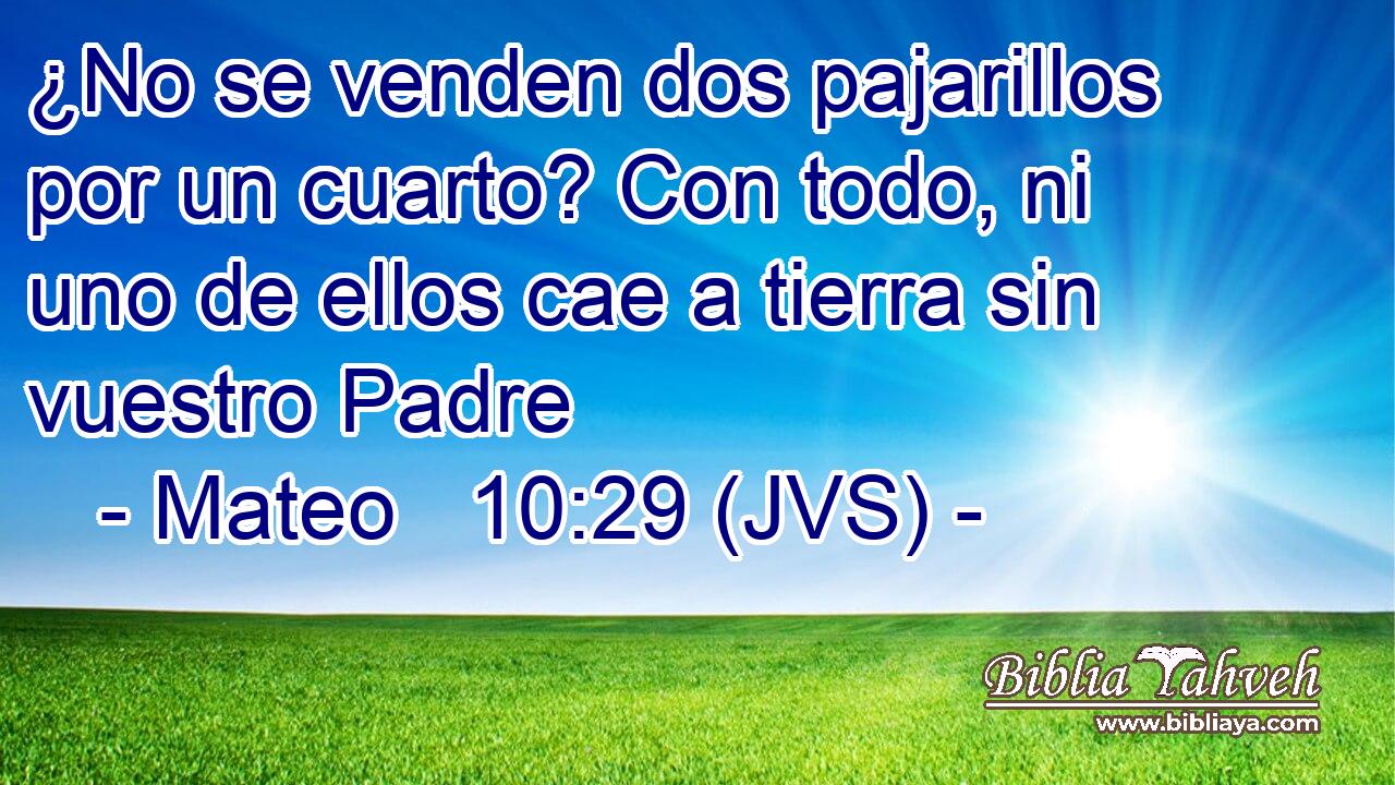 ¿No se venden dos pajarillos por un cuarto? Con todo, ni uno de ellos cae a tierra sin vuestro Padre