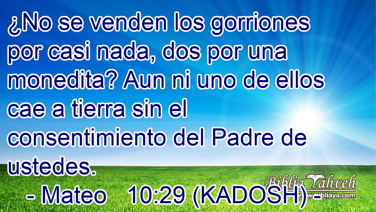  ¿No se venden los gorriones por casi nada, dos por una monedita? Aun ni uno de ellos cae a tierra sin el consentimiento del Padre de ustedes. 